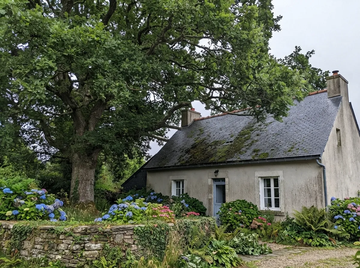 Chêne qui déborde sur la toiture, avant élagage